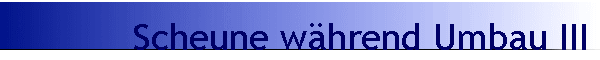Scheune w�hrend Umbau III
